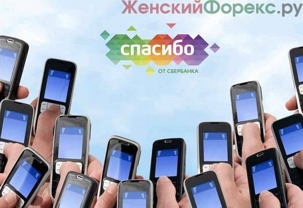 kak oplatit telefon bonusami spasibo ot sberbanka